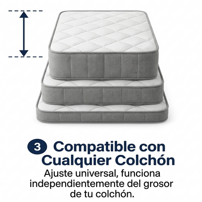 Sheet Fasteners